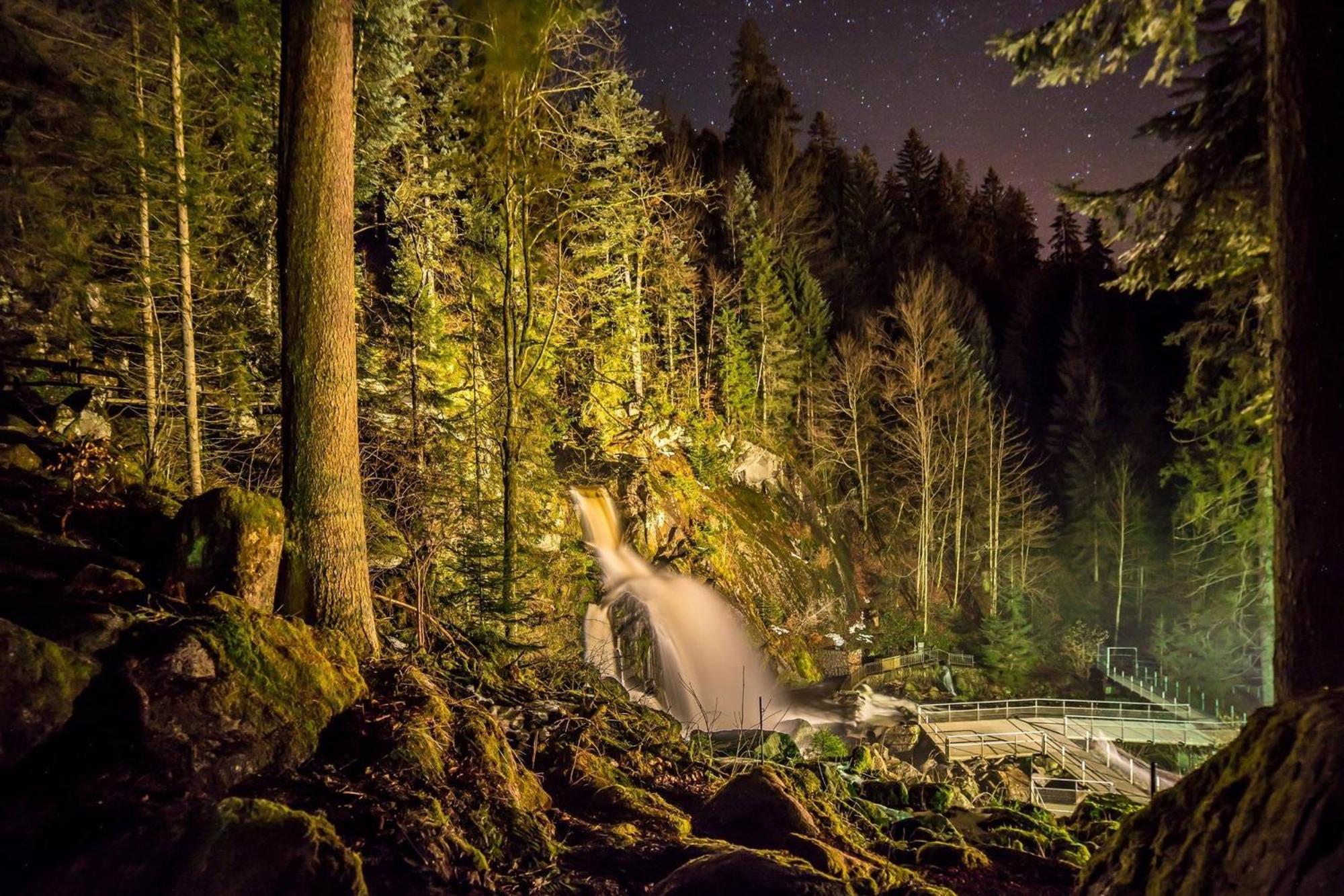 Ferienhaus Am Roesslewald Breitnau Zewnętrze zdjęcie
